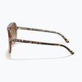 Sonnenbrille Ray-Ban Bill havana brown/transparent brown 7