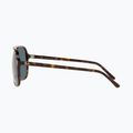 Sonnenbrille Ray-Ban Bill havana/blue 7