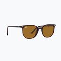 Sonnenbrille Ray-Ban Elliot havana brown/black polarized