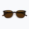 Sonnenbrille Ray-Ban Elliot havana brown/black polarized 3