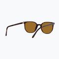 Sonnenbrille Ray-Ban Elliot havana brown/black polarized 6