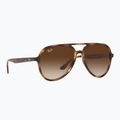 Sonnenbrille Ray-Ban RB4376 havana/brown gradient