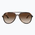 Sonnenbrille Ray-Ban RB4376 havana/brown gradient 2