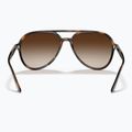 Sonnenbrille Ray-Ban RB4376 havana/brown gradient 5
