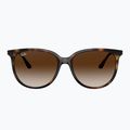 Sonnenbrille Ray-Ban RB4378 havana/brown gradient 2