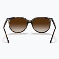 Sonnenbrille Ray-Ban RB4378 havana/brown gradient 3