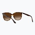 Sonnenbrille Ray-Ban RB4378 havana/brown gradient 4