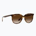Sonnenbrille Ray-Ban RB4378 havana/brown gradient 5