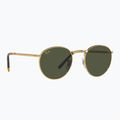 Sonnenbrille Ray-Ban New Round gold/green