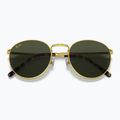 Sonnenbrille Ray-Ban New Round gold/green 3