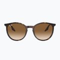 Sonnenbrille Ray-Ban RB2204 havana/light brown 2