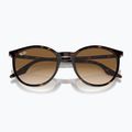 Sonnenbrille Ray-Ban RB2204 havana/light brown 3