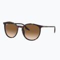 Sonnenbrille Ray-Ban RB2204 havana/light brown 4