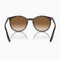 Sonnenbrille Ray-Ban RB2204 havana/light brown 5