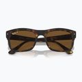 Sonnenbrille Ray-Ban RB4428 havana matte/brown polarized 3