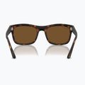 Sonnenbrille Ray-Ban RB4428 havana matte/brown polarized 5