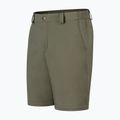 Herren-Trekkinghose Montura Valbruna Zip Off verde salvia 3