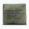 Badeshorts Herren Aeronautica Militare BW0231UCT04311 lichen green 2