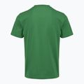 Herren T-Shirt Aeronautica Militare TS1580UJ00372 verdant green 2