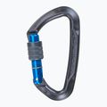 Klettern Technologie Lime SG Karabiner grau 2C45800 SHM