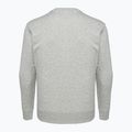 Champion Herren Sweatshirt Rochester grau 2
