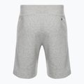 Champion Herren-Shorts Rochester grau 2