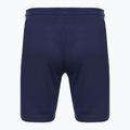 Champion Legacy Herren-Shorts navy/schwarz 2
