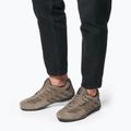Schuhe Herren Geox Snake dove grey 15