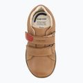 Kinderschuhe Geox Macchia caramel 5