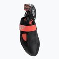 Damen-Kletterschuhe La Sportiva Theory hibiscus/black 5