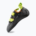Herren-Kletterschuhe La Sportiva Tarantula carbon/lime punch 3