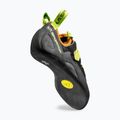 Herren-Kletterschuhe La Sportiva Tarantula carbon/lime punch 4