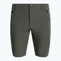 CMP Herren-Trekking-Shorts grün 31T5637/E319