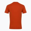 Herren EA7 Emporio Armani Sichtbarkeit Baumwolle Crew Rooibos-Tee-T-Shirt 2