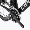 Rennrad Cipollini BOND2 DB 22-RED schwarz-weiß M12MC122BOND2_DB N3ZO 10