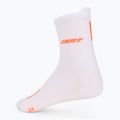 DMT Classic Race 2024 weiß/orange Socken 2