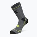Socken Rollerblade High Performance anthracite/lime