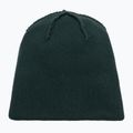 Wintermütze EA7 Emporio Armani Mountain Logo Series Big Beanie silver pine 4