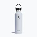 Hydro Flask Standard Flex Straw Thermoflasche 620 ml weiß S21FS110