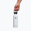 Hydro Flask Standard Flex Straw Thermoflasche 620 ml weiß S21FS110 4