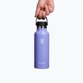 Hydro Flask Standard Flex 530ml Thermoflasche Lupine S18SX474 4