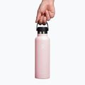 Hydro Flask Standard Flex 620 ml Trillium Reiseflasche 5