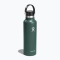 Touristenflasche Hydro Flask Standard Flex 620 ml Tanne 2