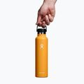 Hydro Flask Standard Flex Cap Thermoflasche 710 ml fossil 3