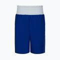 Herren Nike Boxing Shorts royal 3