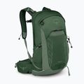 Osprey Talon 22 l grün Baldachin / Kiefer Blatt Männer Wandern Rucksack 2
