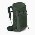 Wander Rucksack Herren Osprey Talon 33 l green canopy/ pine leaf