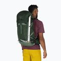 Wander Rucksack Herren Osprey Talon 33 l green canopy/ pine leaf 3