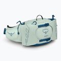 Osprey Talon 6 l mintgrün/Nachtschicht Männer Nierenbeutel 2