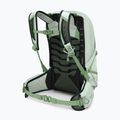 Wander Rucksack Damen Osprey Tempest 11 l frosty mint green/ botanica 3